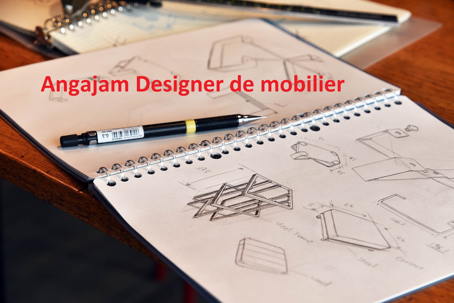 Designer la proectarea mobilei